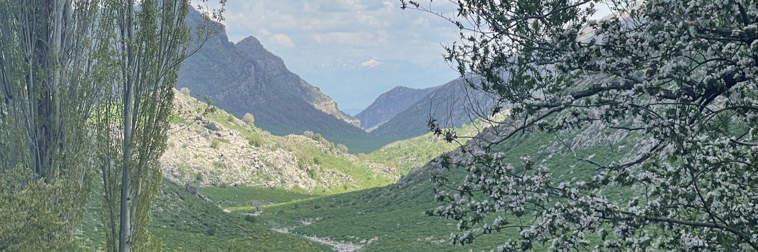 rawas_pirot's profile banner image