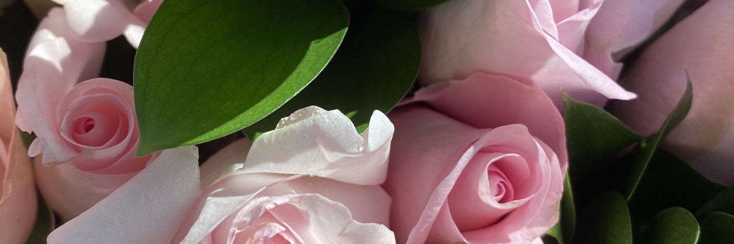HannahGi1dner's profile banner image