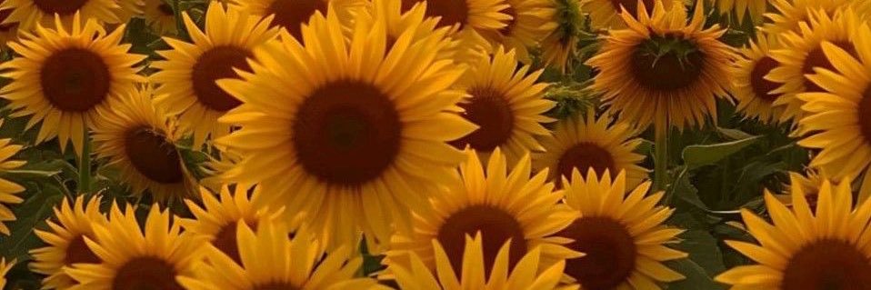 7aneen_2002's profile banner image