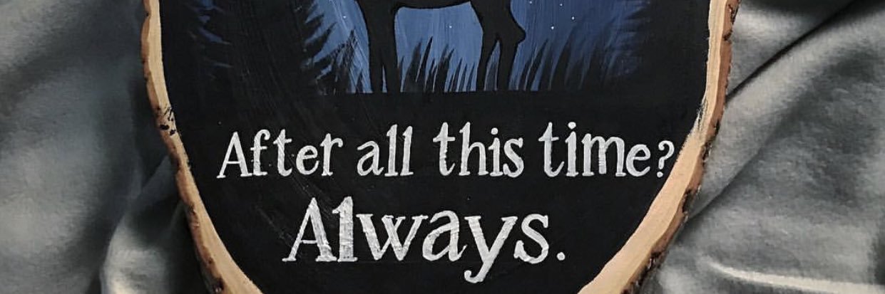 MennaEtman's profile banner image