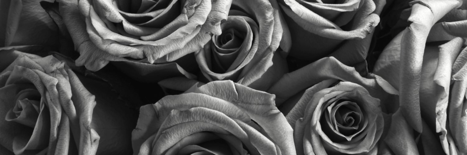 mattecobiza's profile banner image