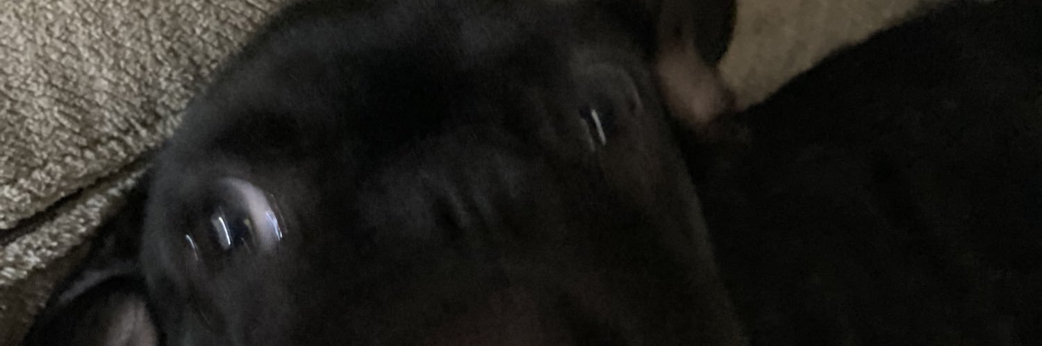 katt983's profile banner image