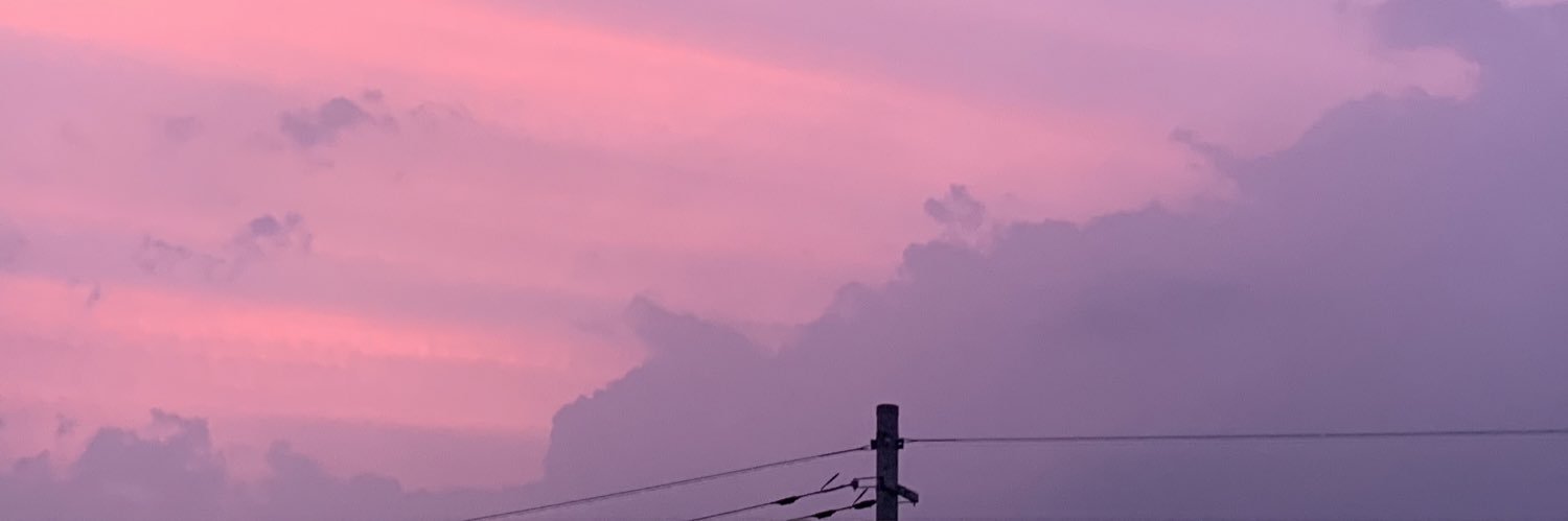 pixelgodzilla's profile banner image
