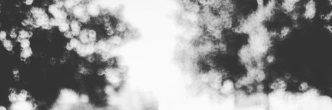 ROMAN02022's profile banner image