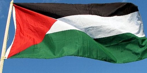 Carmy 🇵🇸 banner