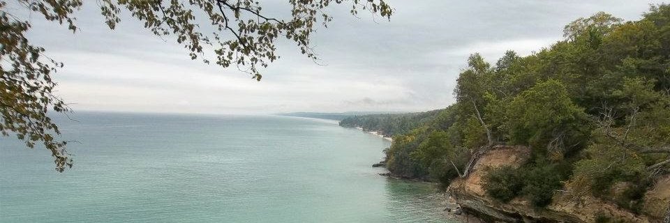 Alicia_Boynton's profile banner image