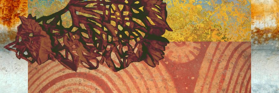 rominnnha's profile banner image