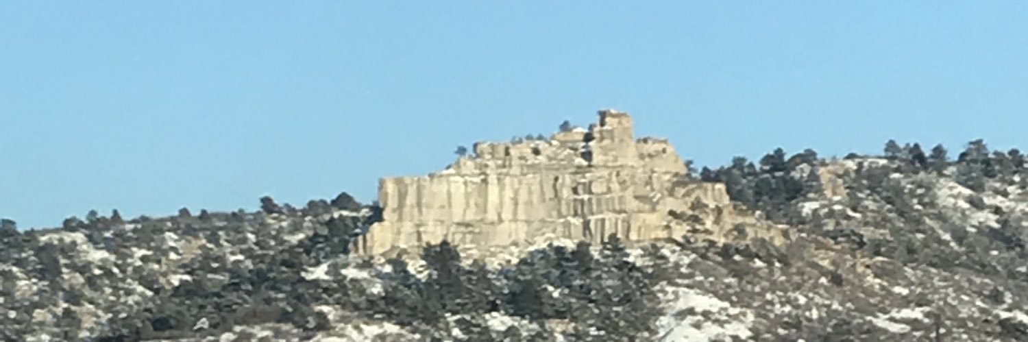 ZaytheGeneral🐺 banner