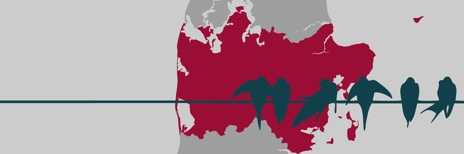 Region Midtjylland banner