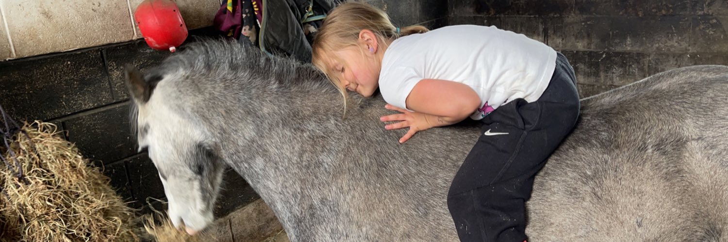 Lisa macdonald banner