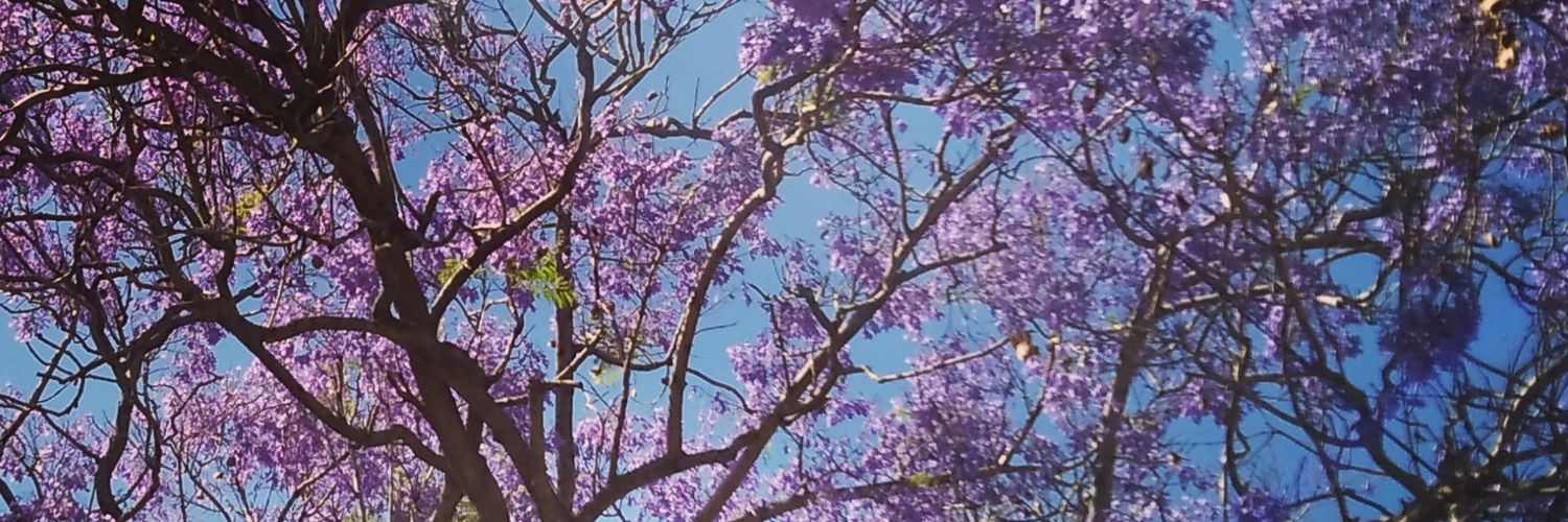 carlu__fz's profile banner image