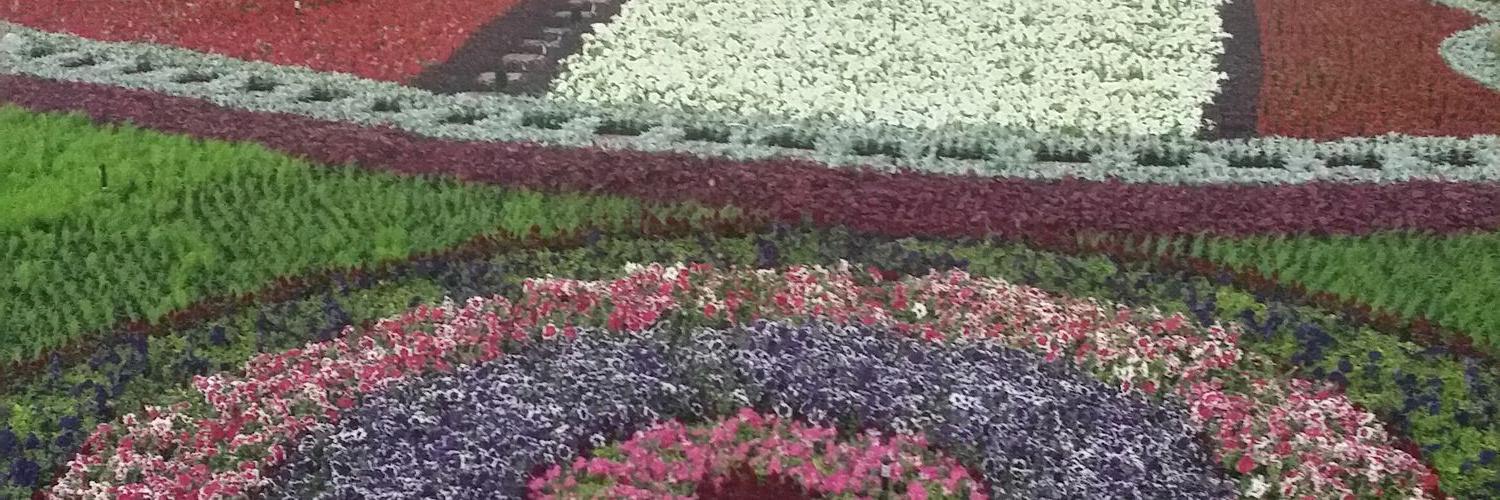 A_ADOSARI's profile banner image