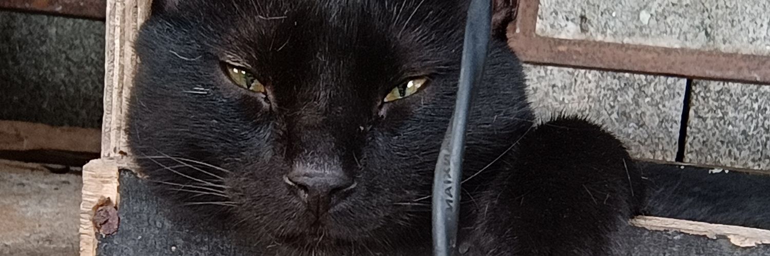 jarg2828's profile banner image