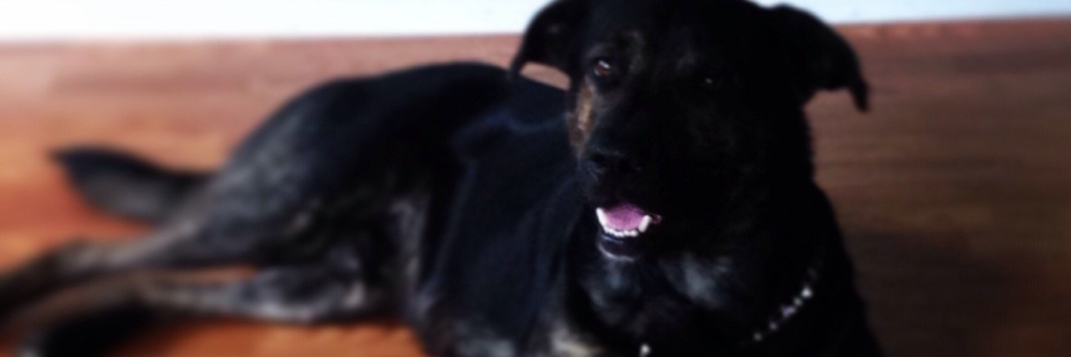 KenzyKayy's profile banner image