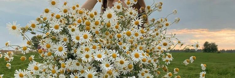 rola__6's profile banner image