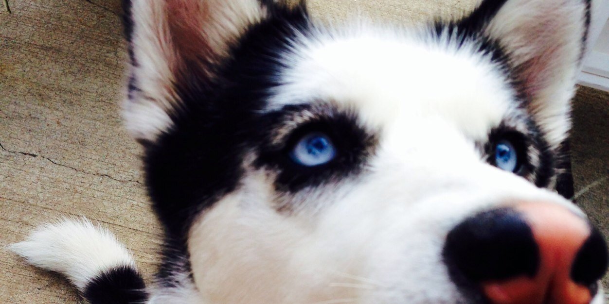 heymissmolly's profile banner image