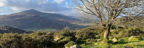 sam_nagle Profile Banner