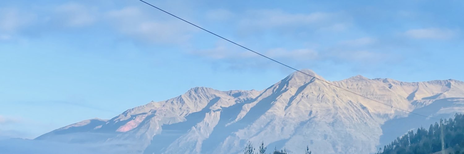 beelss_'s profile banner image