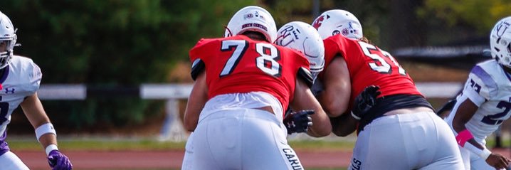 Dominik Palka banner