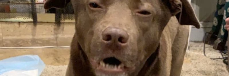tim_jiggy's profile banner image
