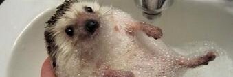 Doc banner