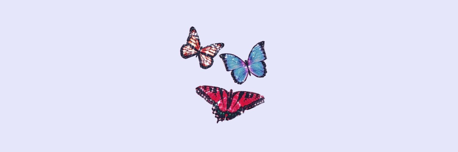 BethanyBoyd17's profile banner image
