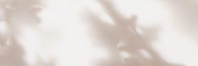 lydia_els's profile banner image