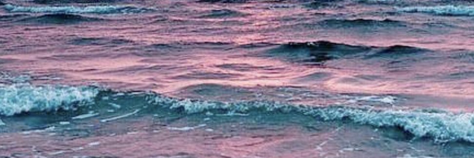 TrueCrimeFanGirl banner