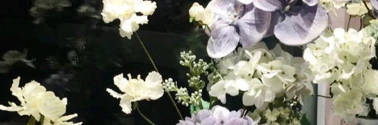 vterilo's profile banner image