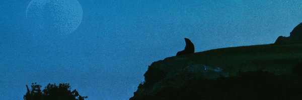 DirgGerner Profile Banner
