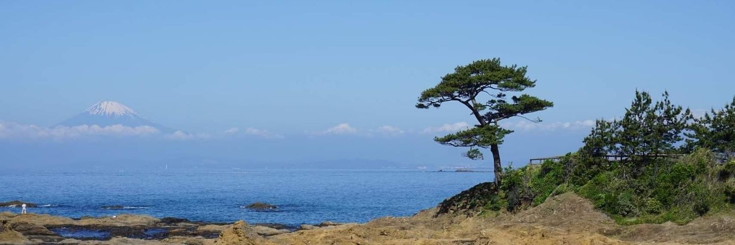 Jonah Kotzer | אברהם banner