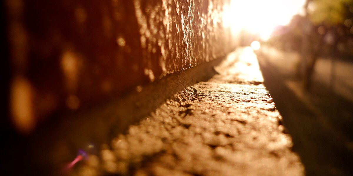 bernardcovic's profile banner image