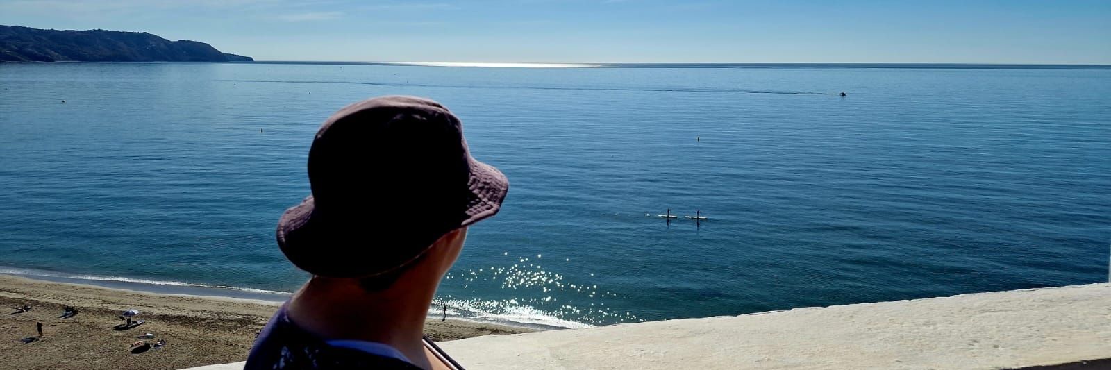 Louise Cantillon banner