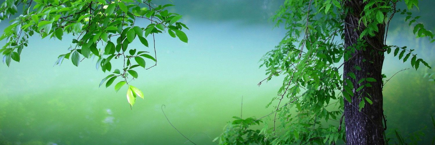 Angela, Princess of Avril banner