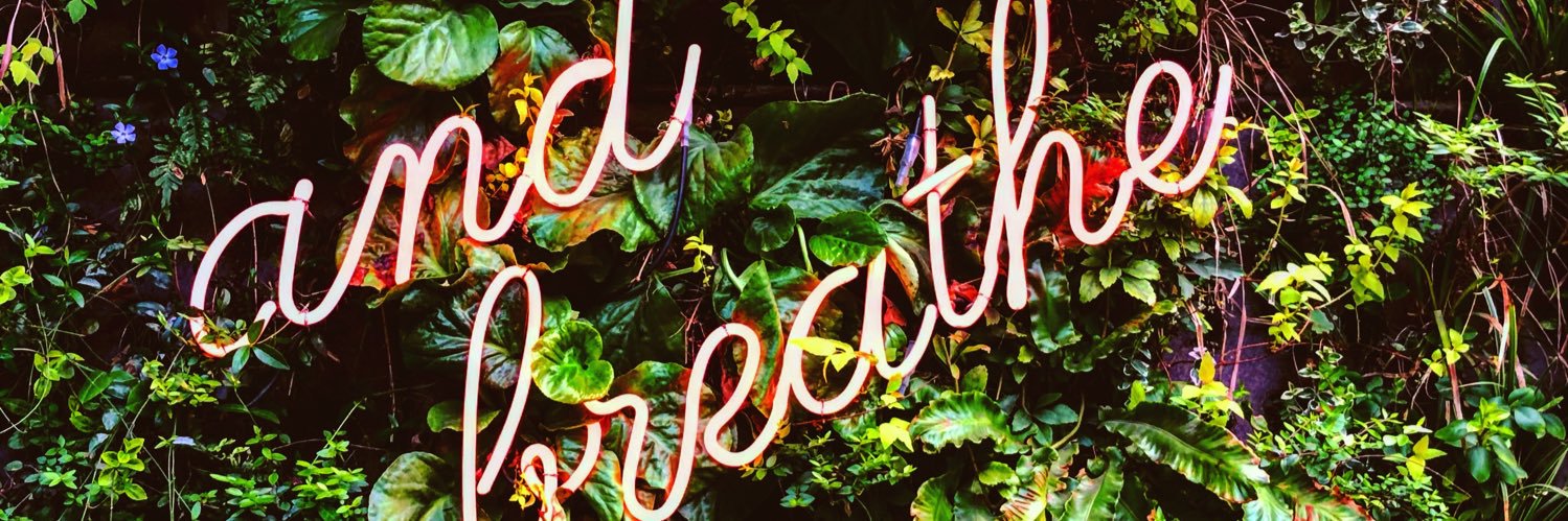 rachelpulham's profile banner image