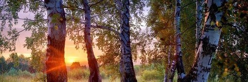 BossMahendar's profile banner image