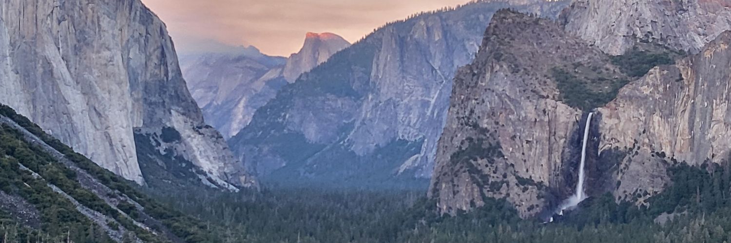 🎳 michael king banner