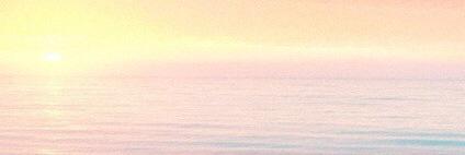ele__ROTA's profile banner image