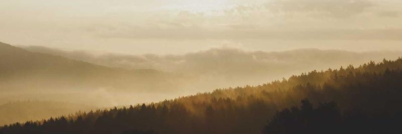 ridamgb12's profile banner image