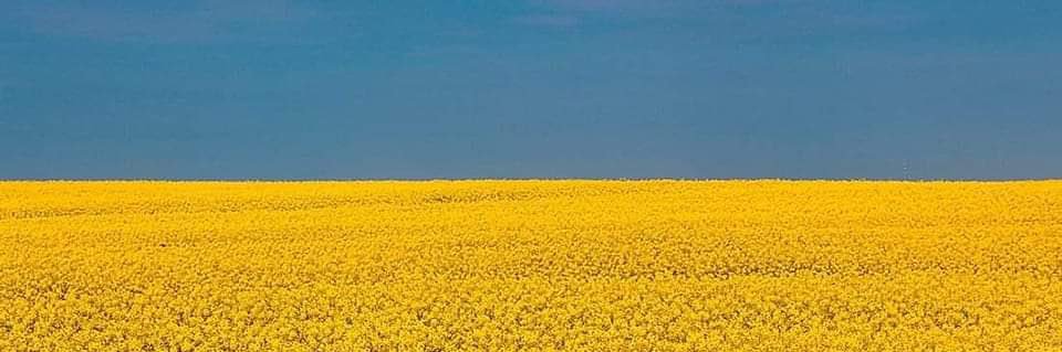 MBucarelli's profile banner image