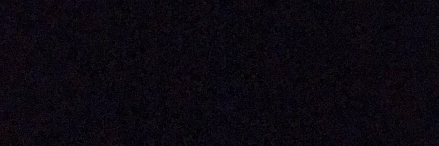lionngalam's profile banner image