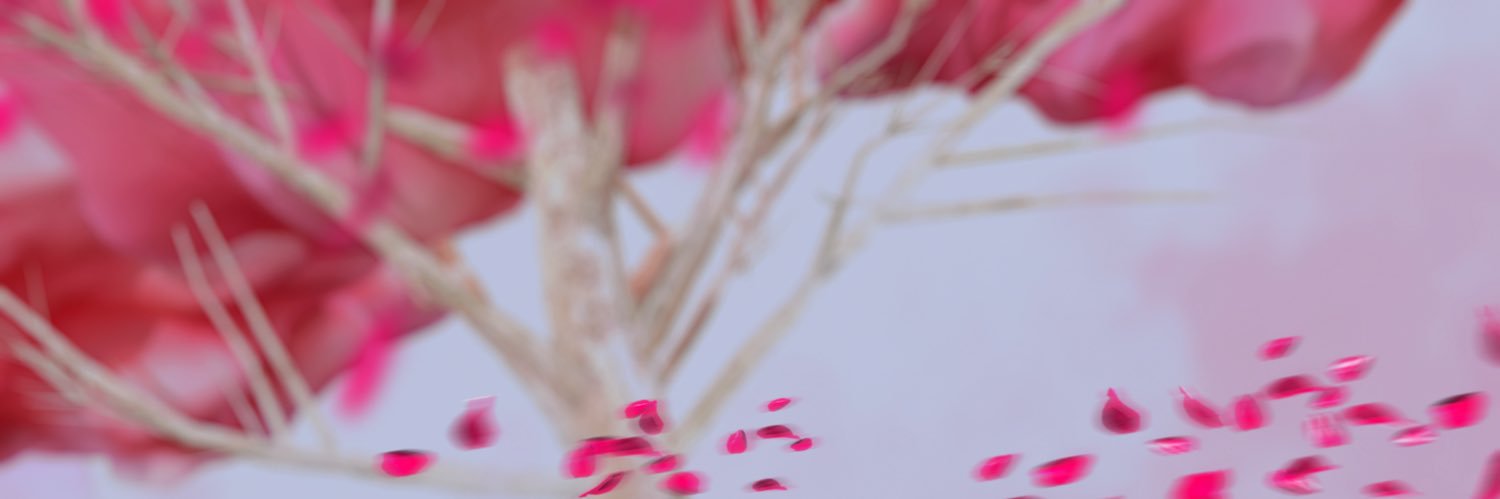 heybigtender's profile banner image