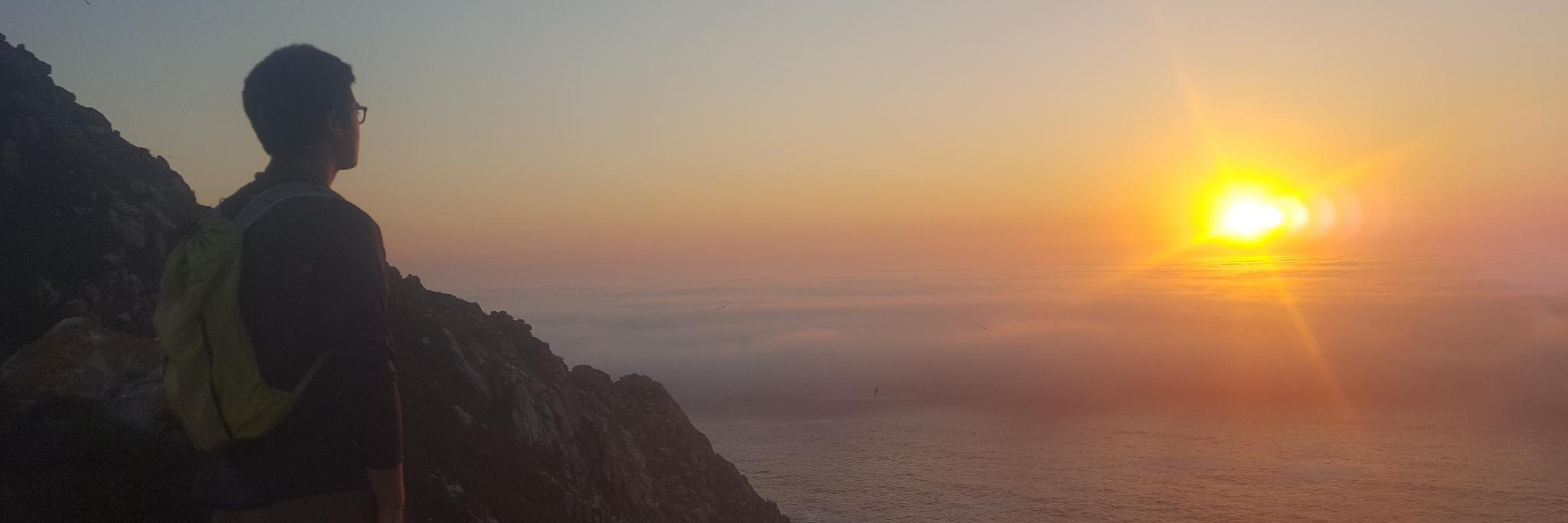 AV Penguin Productions banner