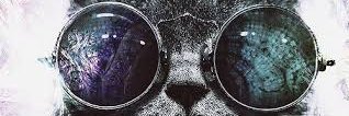 Tavaresneto6's profile banner image