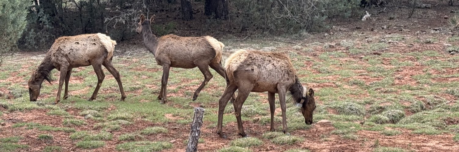 DesertShooter✝️🇺🇸🔫 banner