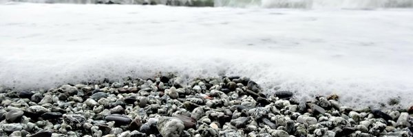 MathildeLBJ Profile Banner