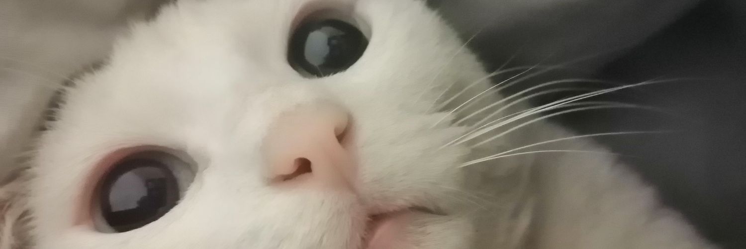 Francisco A Perea banner