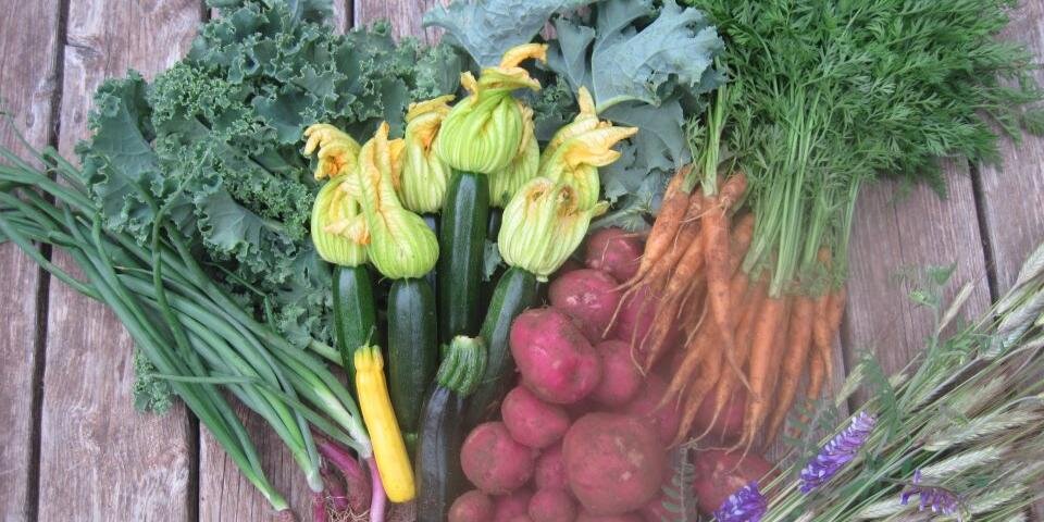 NorbertsFood's profile banner image