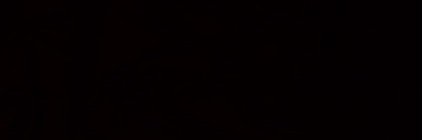stevecurtiis's profile banner image