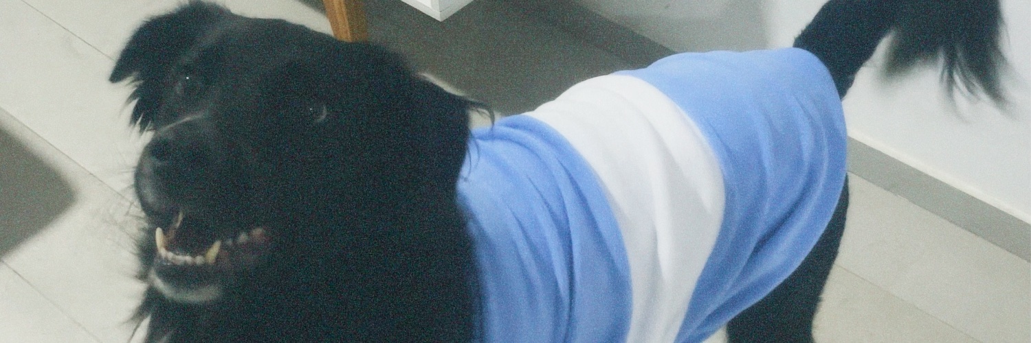 JuliArbelo's profile banner image